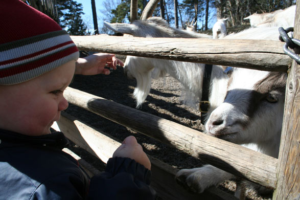 På Torekällberget