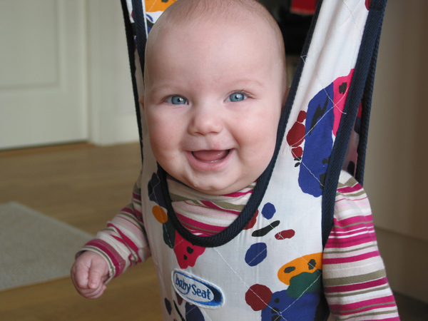 Maja