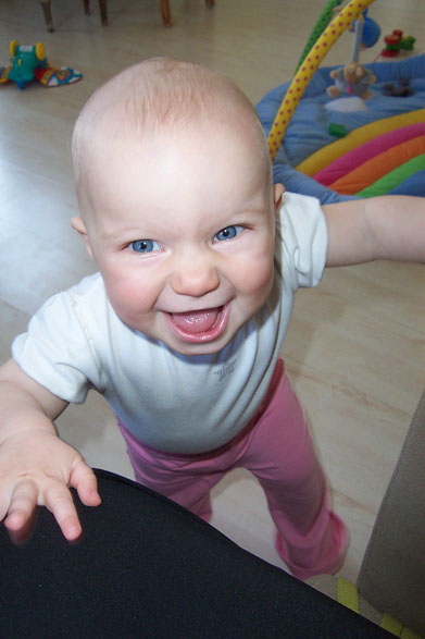 Maja